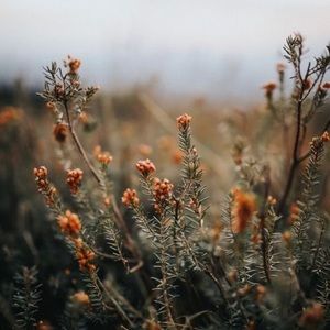 Meet your Posher, Katerina